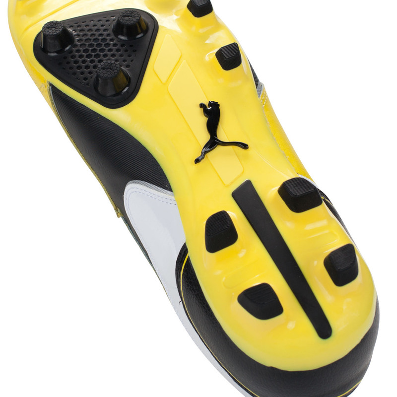 Бутсы Puma Momentta FG 10267601