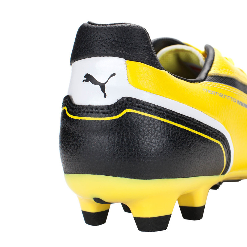 Бутсы Puma Momentta FG 10267601