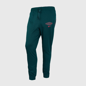 Брюки Nike Liverpool Travel Pant DJ9668-375