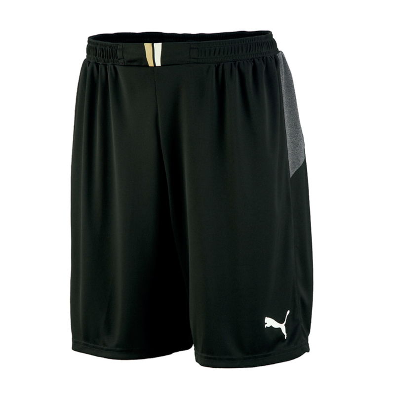 Шорты вратарские Puma King GK Shorts 701701321