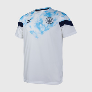 Футболка Puma Manchester City Iconic Tee 76520006