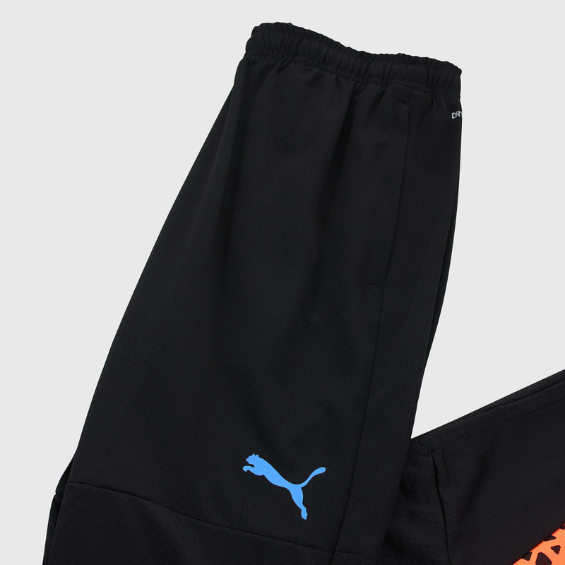 Брюки тренировочные Puma Individualcup 65829550