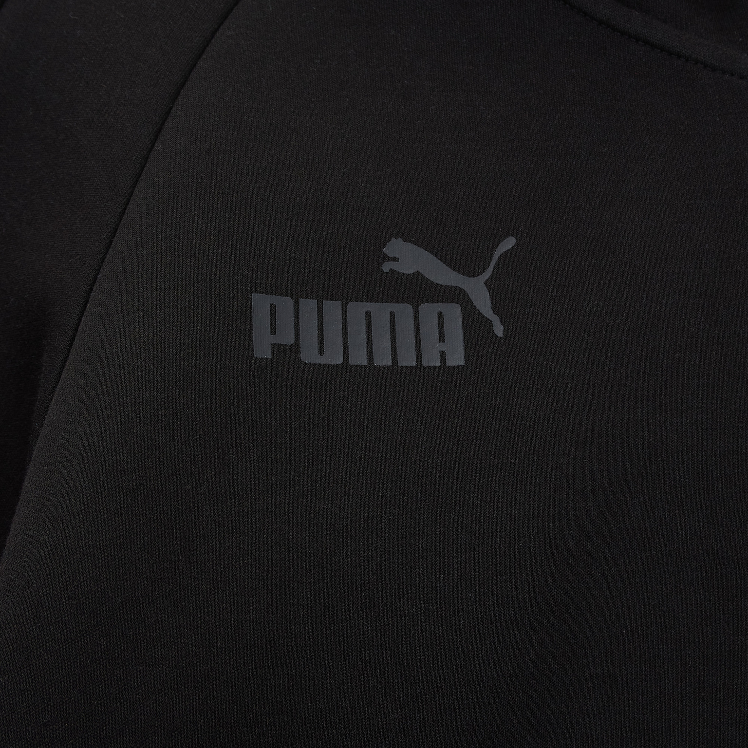 Толстовка Puma Borussia 76768706