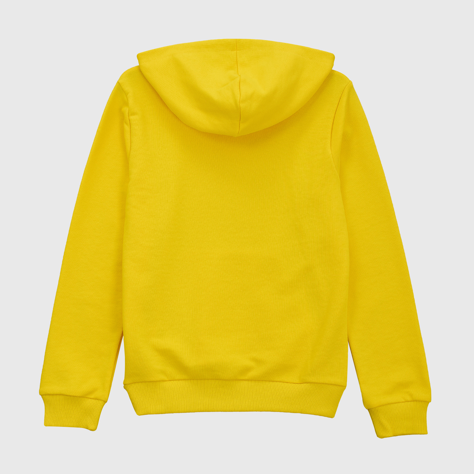 Толстовка подростковая Puma Borussia 75999101