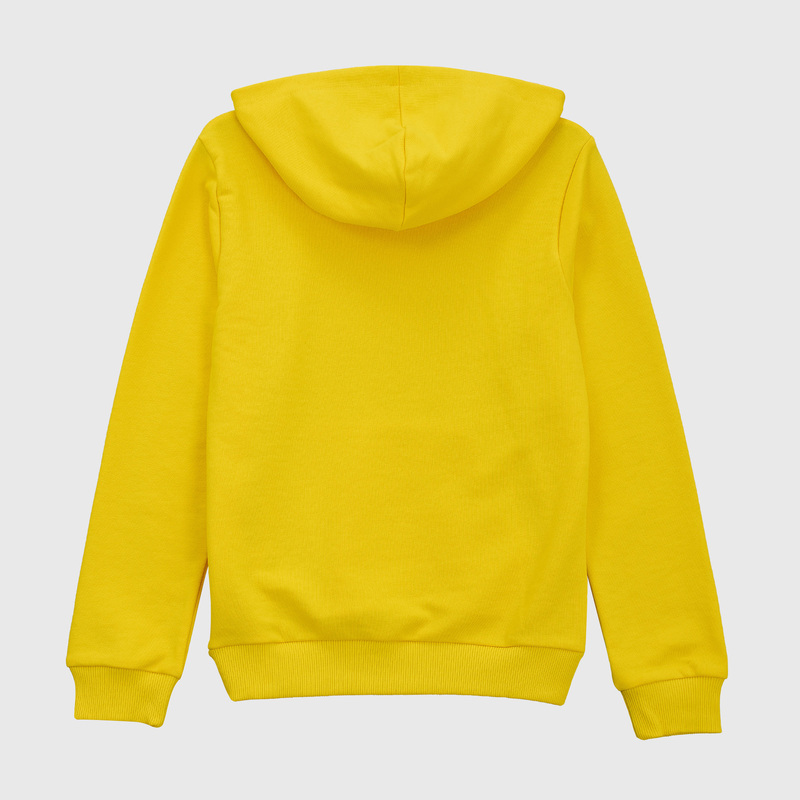 Толстовка подростковая Puma Borussia 75999101