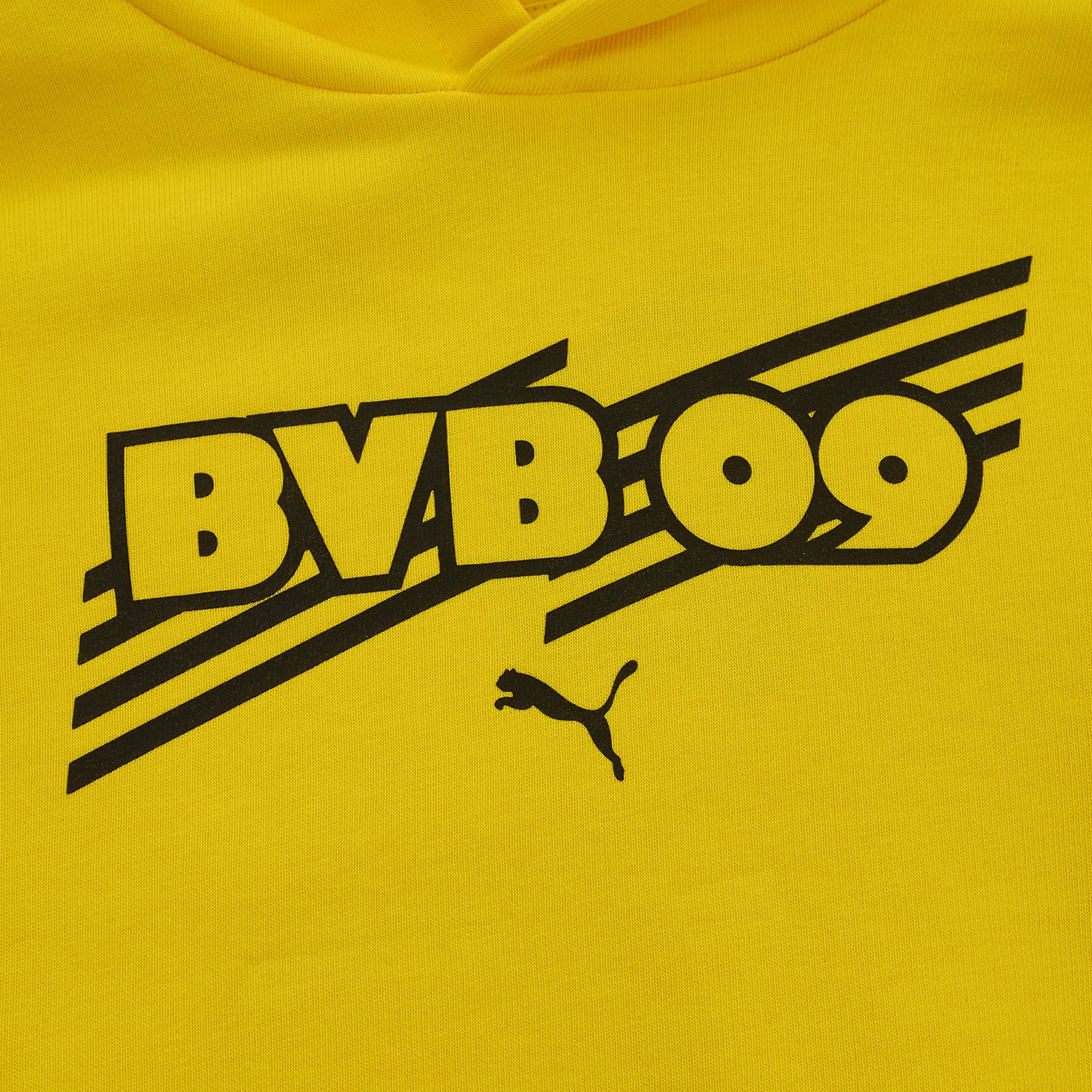 Толстовка подростковая Puma Borussia 75999101
