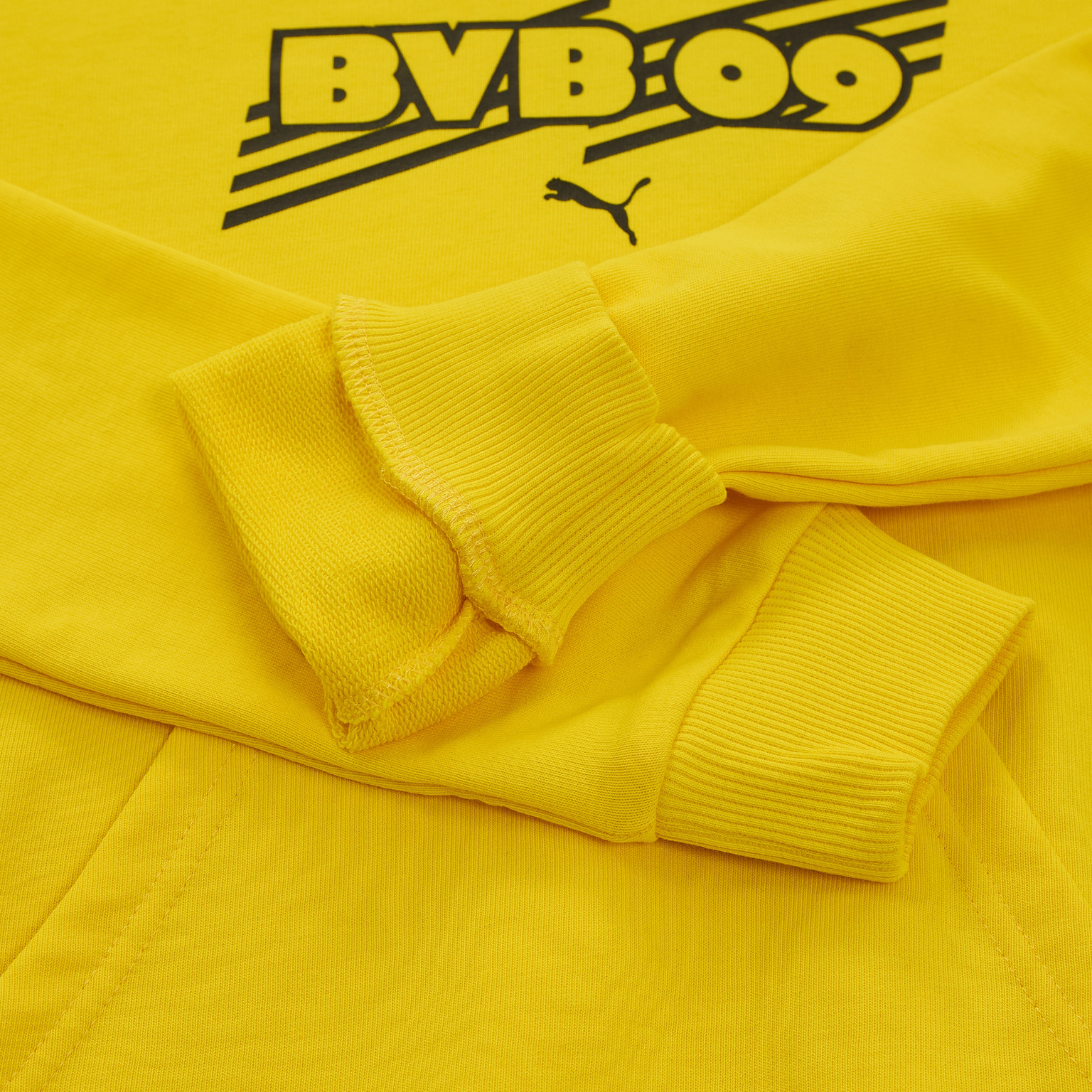 Толстовка подростковая Puma Borussia 75999101