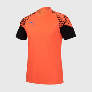 Футболка тренировочная Puma Individalcup Jersey 65828950