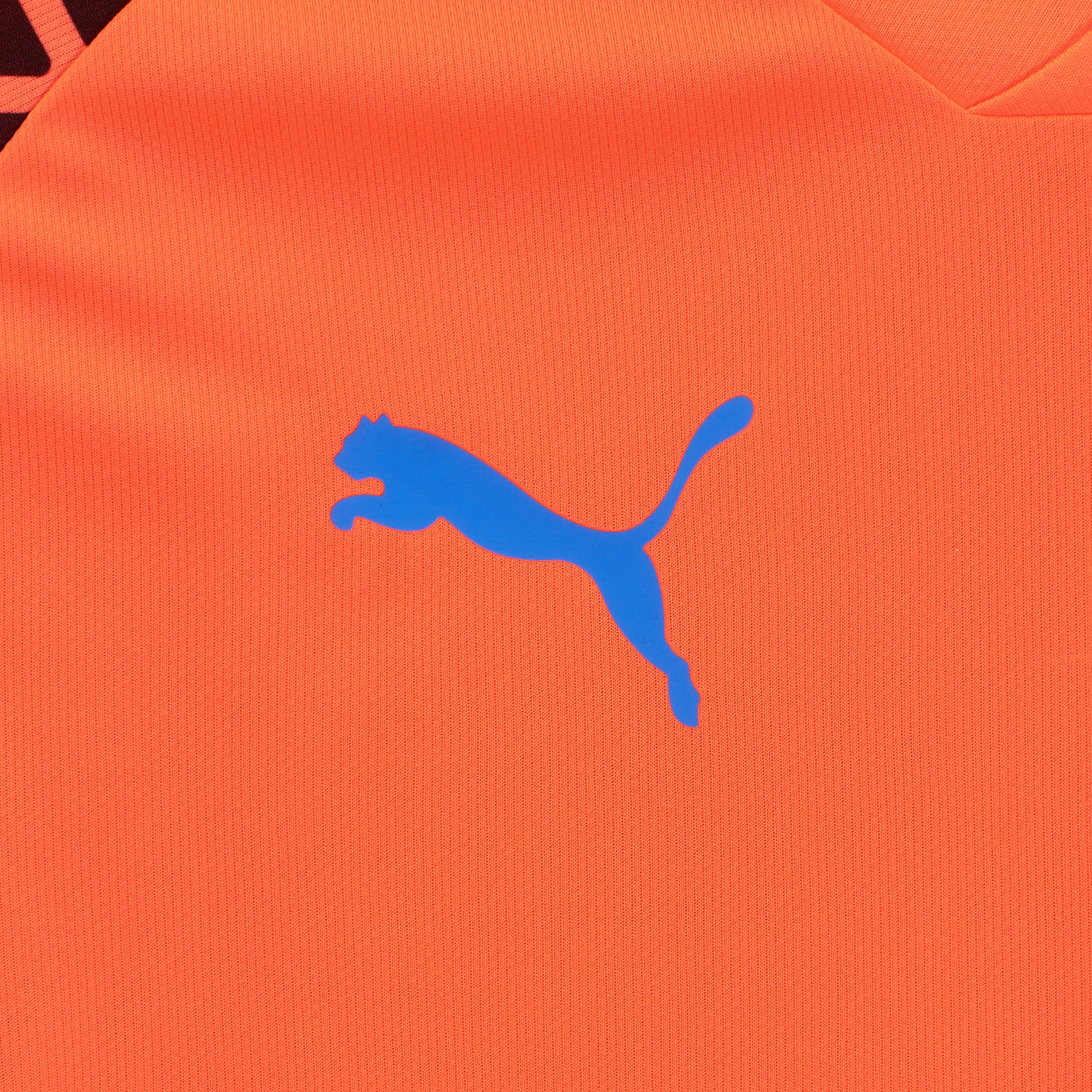 Футболка тренировочная Puma Individalcup Jersey 65828950