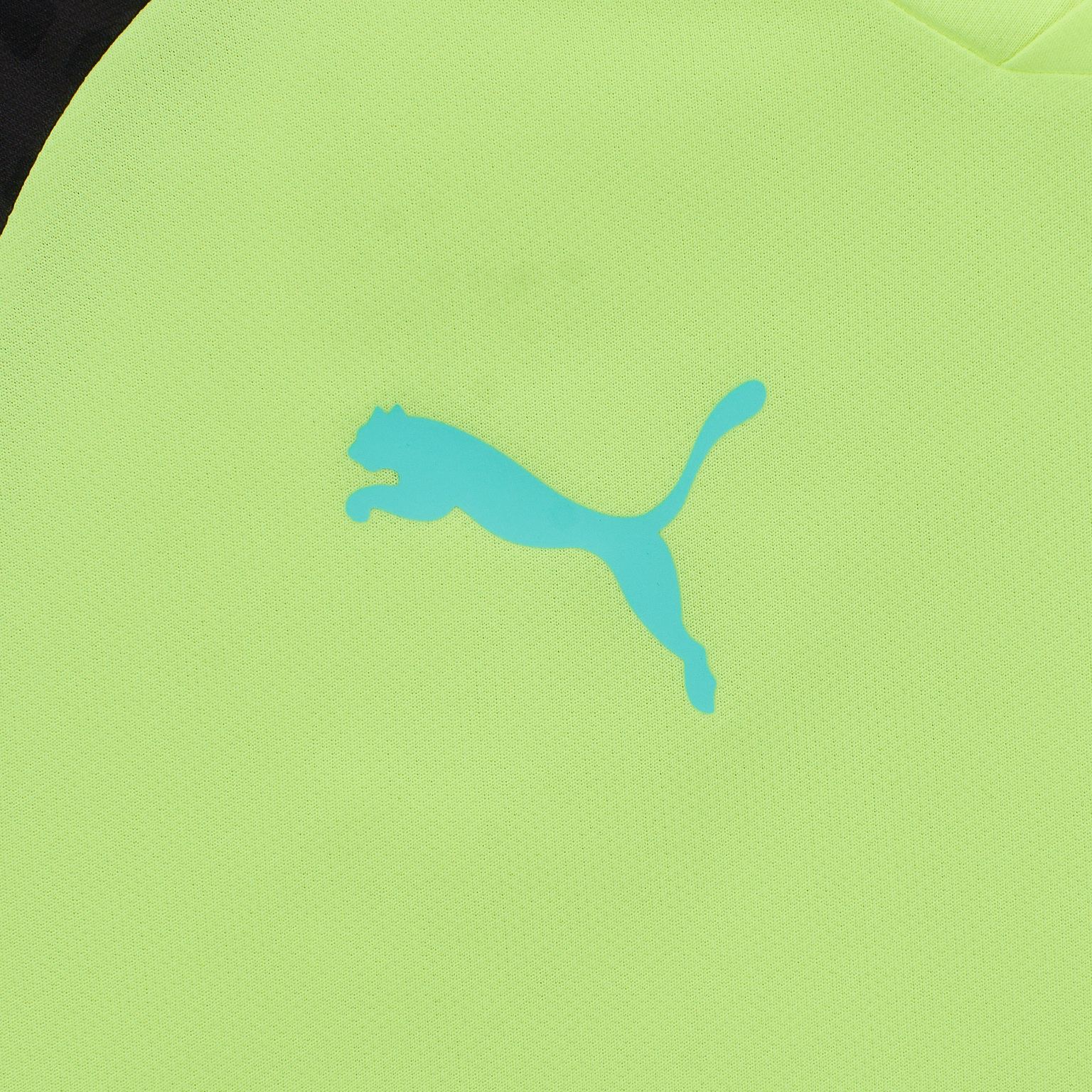 Футболка тренировочная Puma Individalcup Jersey 65828951