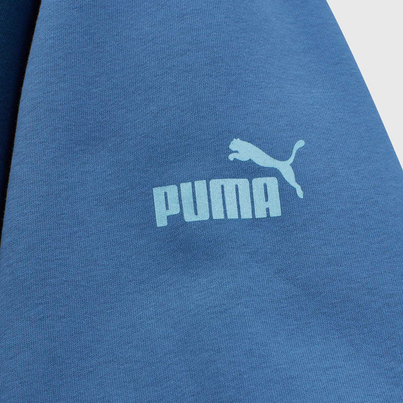 Толстовка Puma Manchester City Hoody 77296527