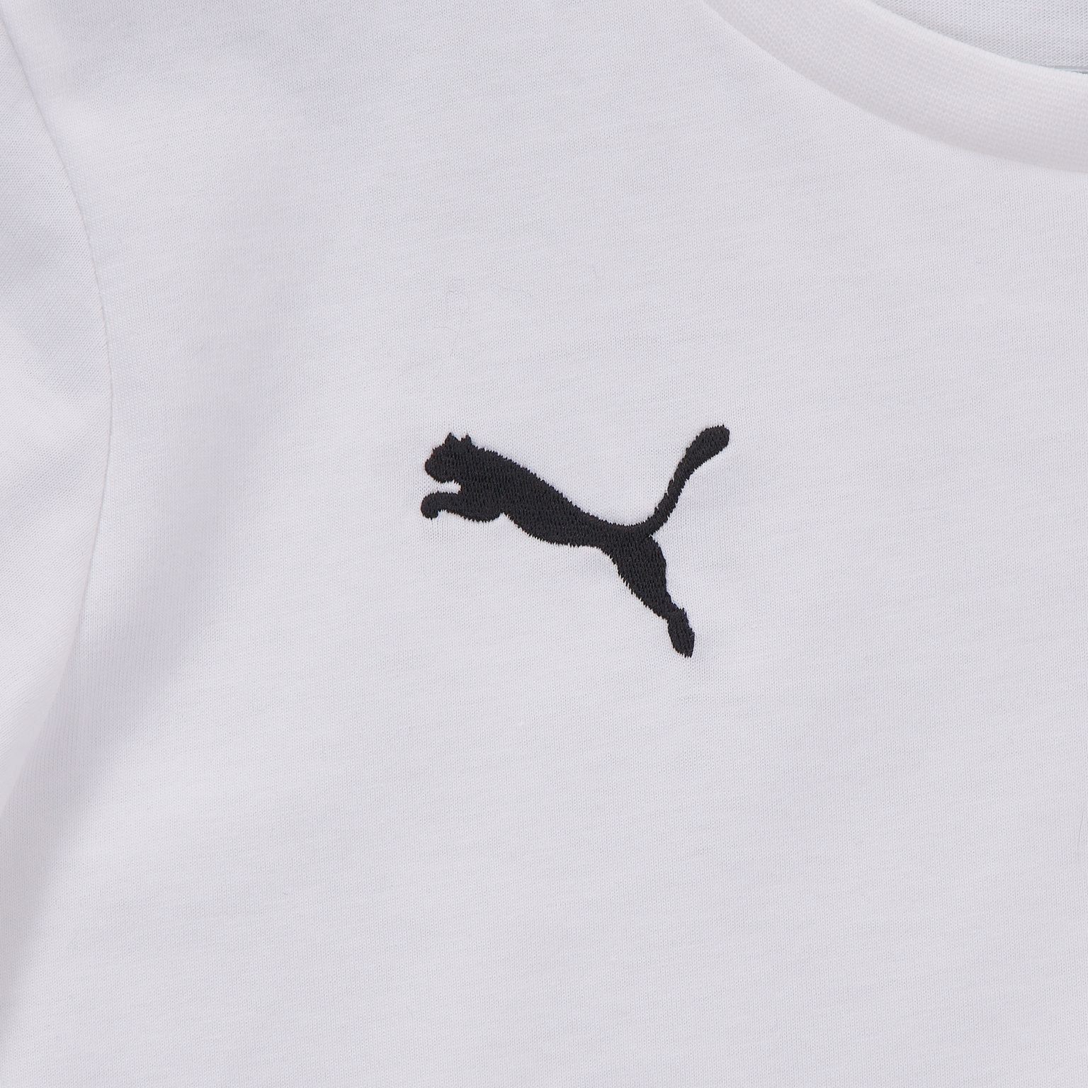 Футболка подростковая хлопковая Puma Teamgoal 23 Casuals Tee 65670904
