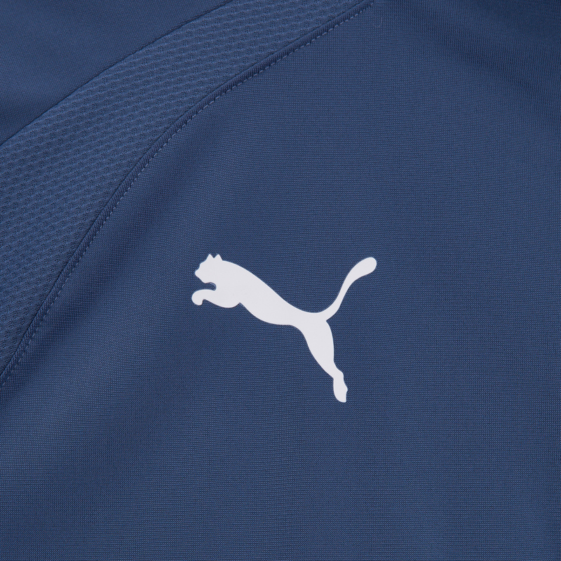Свитер тренировочный Puma Teamliga 1/4 Zip Top 65723653