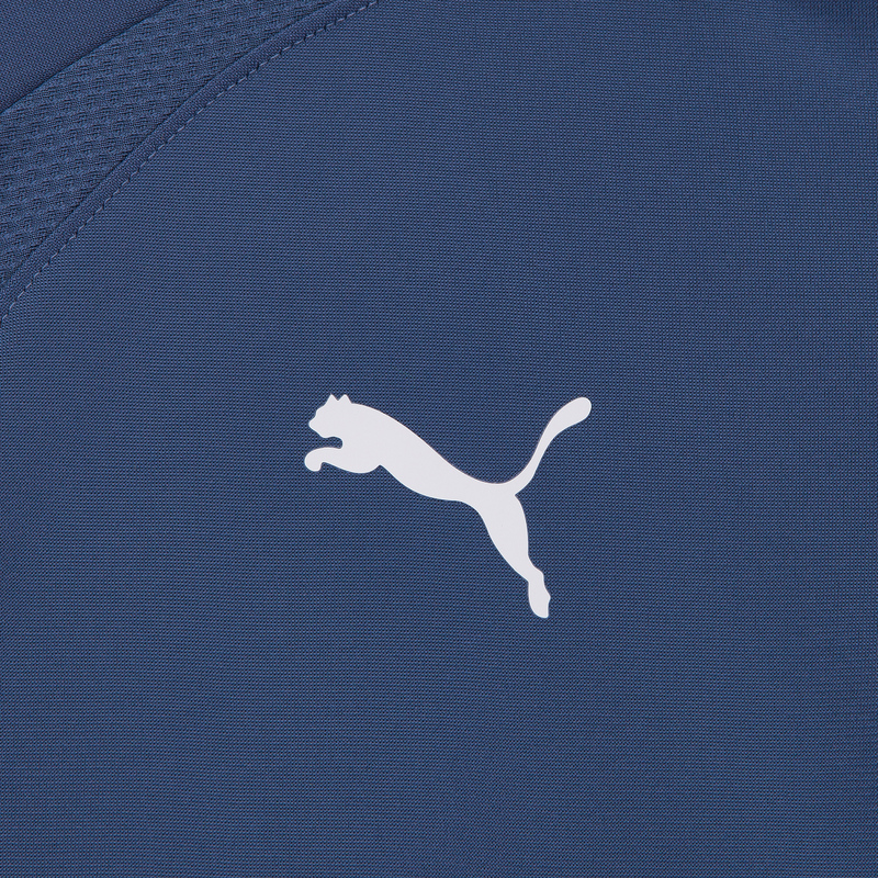 Свитер тренировочный подростковый Puma Teamliga 1/4 Zip Top 65723753