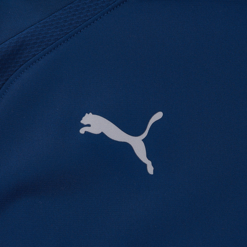 Свитер тренировочный подростковый Puma Teamliga 1/4 Zip Top 65723754