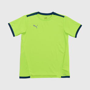 Футболка игровая подростковая Puma Teamliga 70492554
