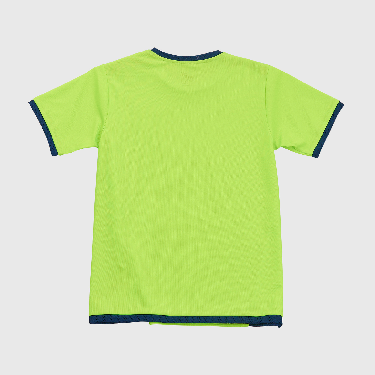 Футболка игровая подростковая Puma Teamliga 70492554