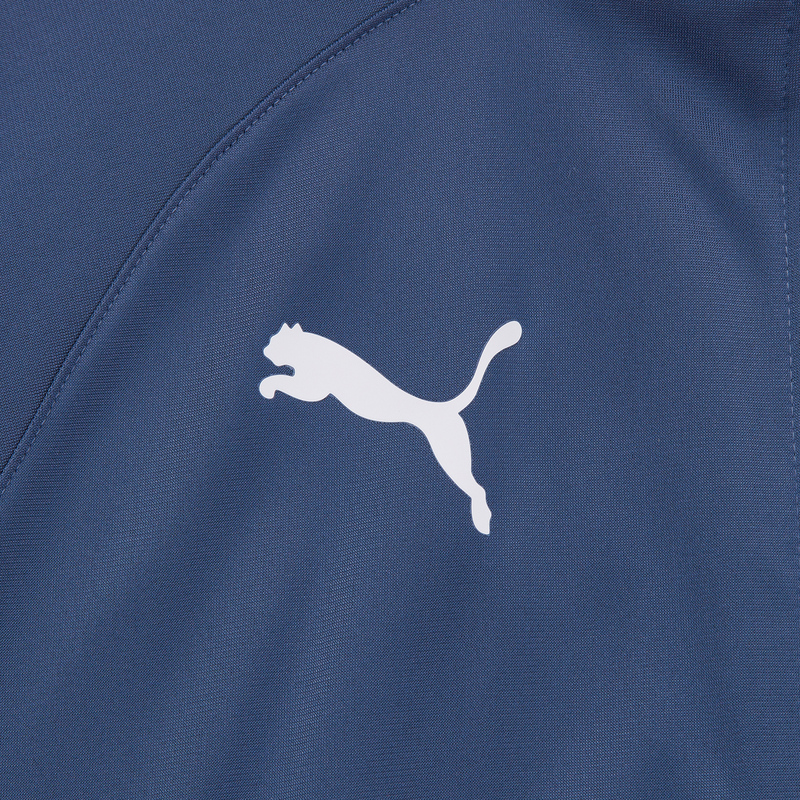Костюм спортивный Puma Teamliga 65852553