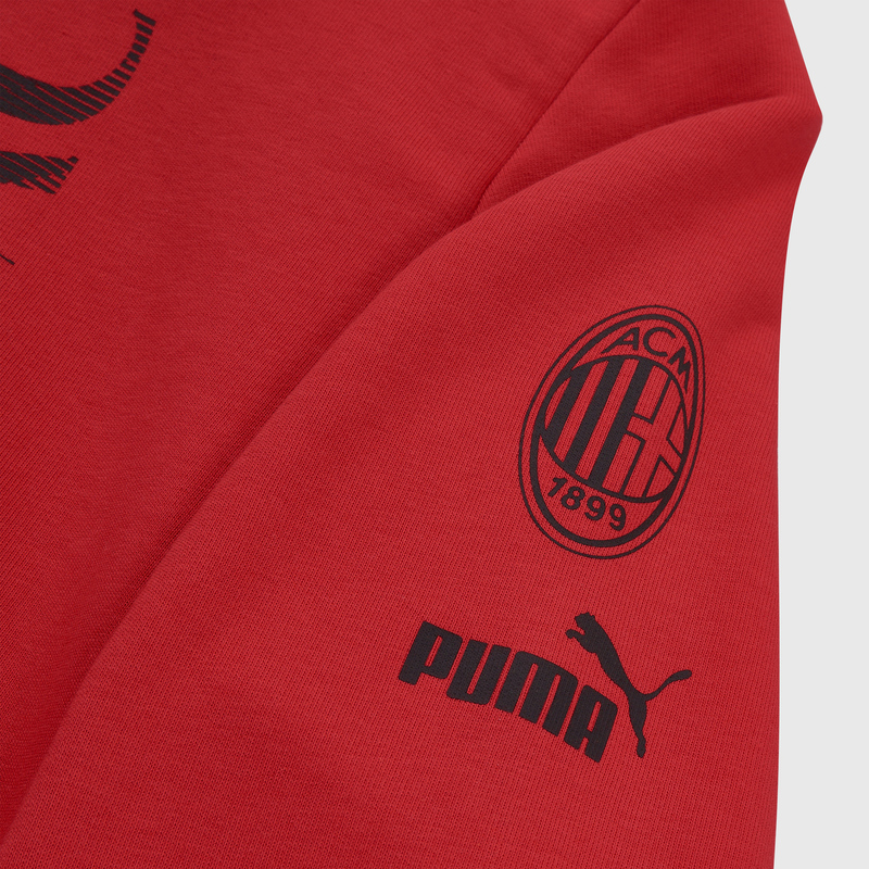 Толстовка Puma Milan Ftblcore Graphic 77231601