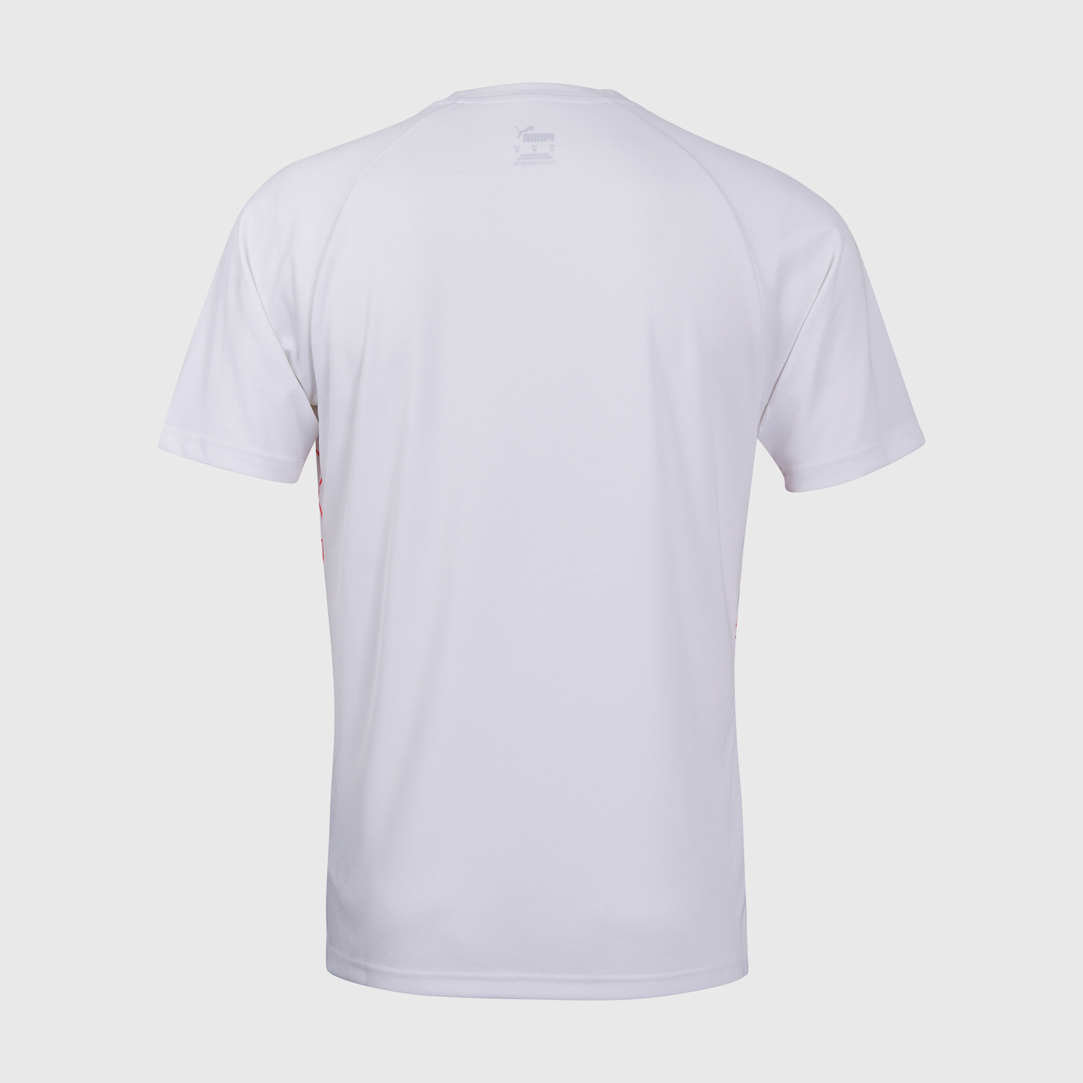 Футболка игровая Puma Teamliga Graphic 65829753