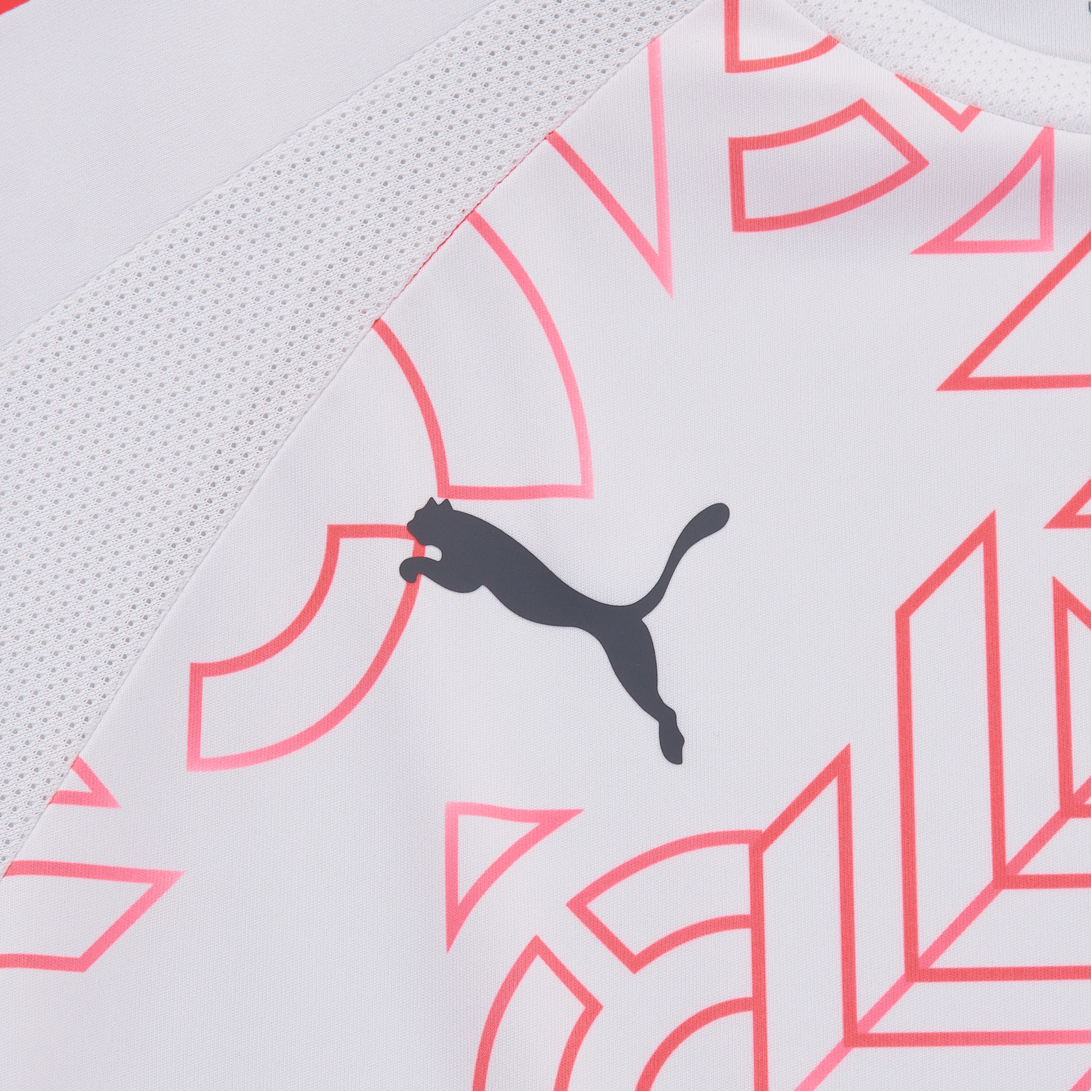 Футболка игровая Puma Teamliga Graphic 65829753