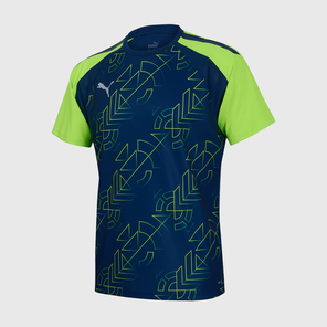 Футболка игровая Puma Teamliga Graphic 65829754