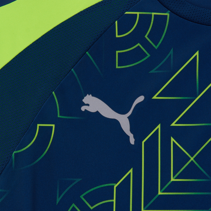 Футболка игровая Puma Teamliga Graphic 65829754