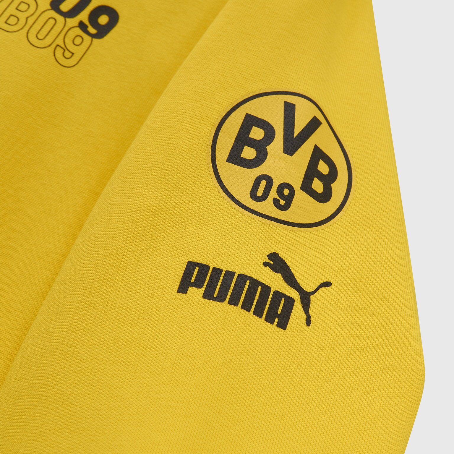 Толстовка Puma Borussia FtblCore Graphic 77186001