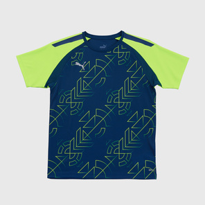 Футболка игровая подростковая Puma Teamliga Graphic 65829854