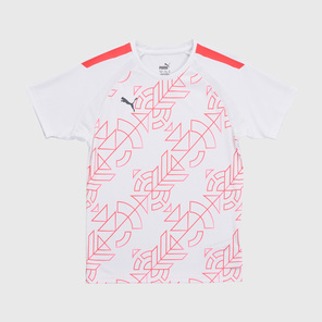 Футболка игровая подростковая Puma Teamliga Graphic 65829853
