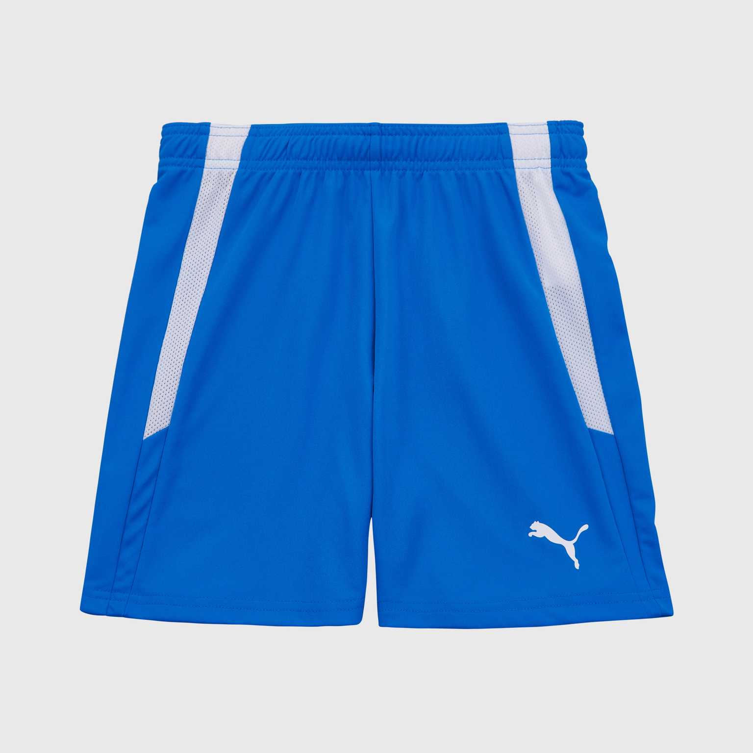 Шорты игровые подростковые Puma Teamliga 70493102