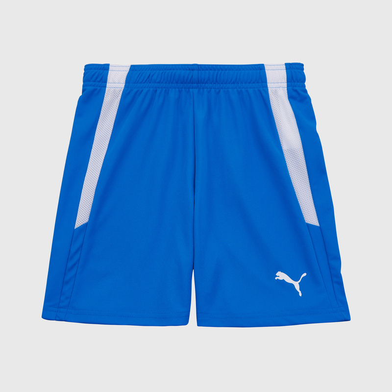 Шорты игровые подростковые Puma Teamliga 70493102