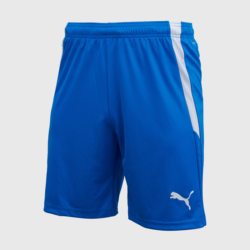 Шорты игровые Puma Teamliga 70492402