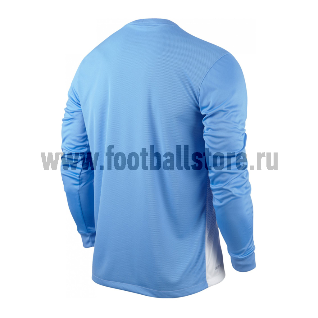 Футболка Nike LS Precision II GD JSY 520467-412