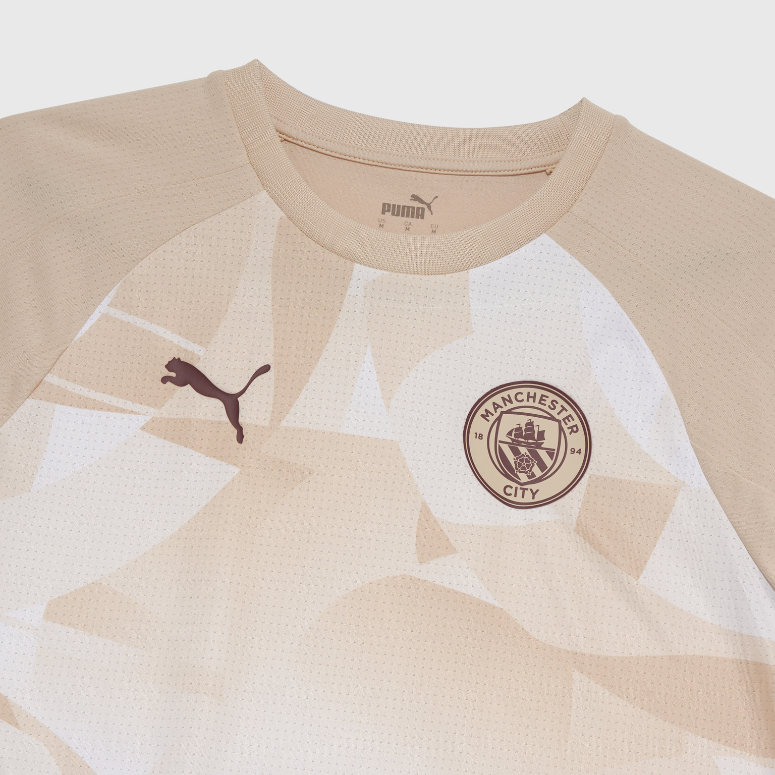 Футболка предыгровая Puma Manchester City сезон 2023/24