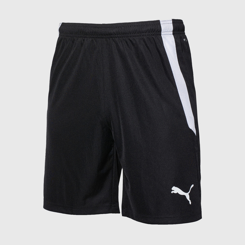 Шорты игровые Puma Teamliga 70492403