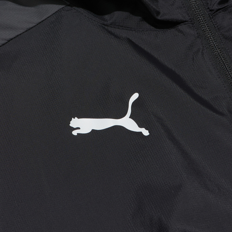Ветровка Puma Teamgoal23 65655903