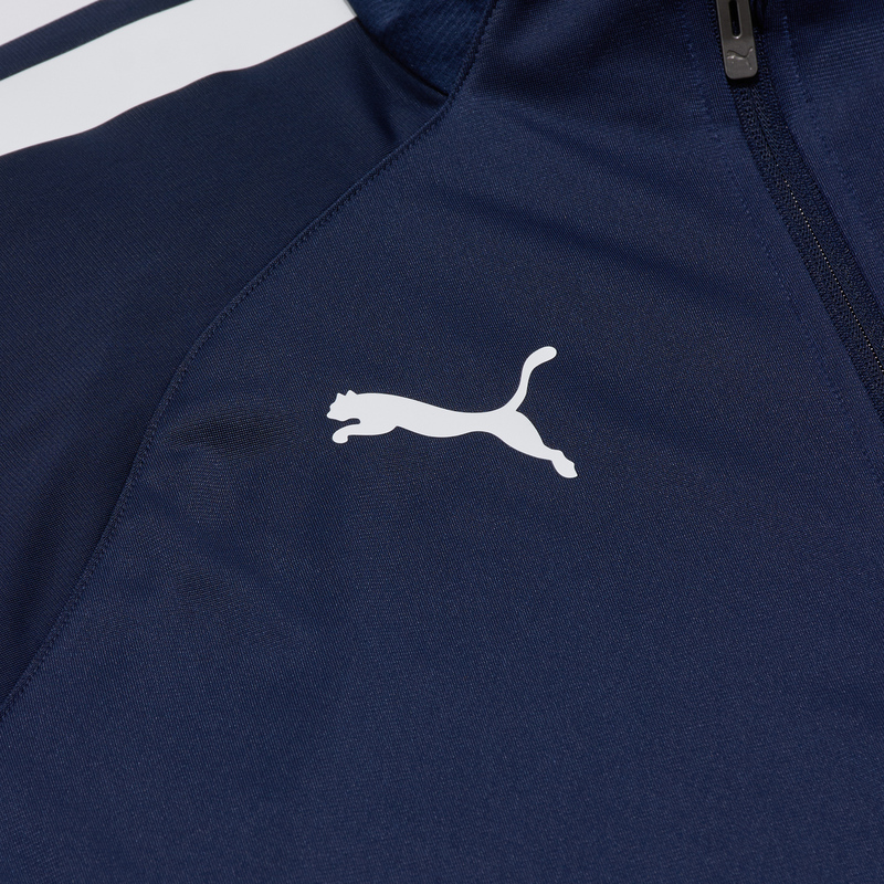 Костюм спортивный Puma Teamliga 65852506