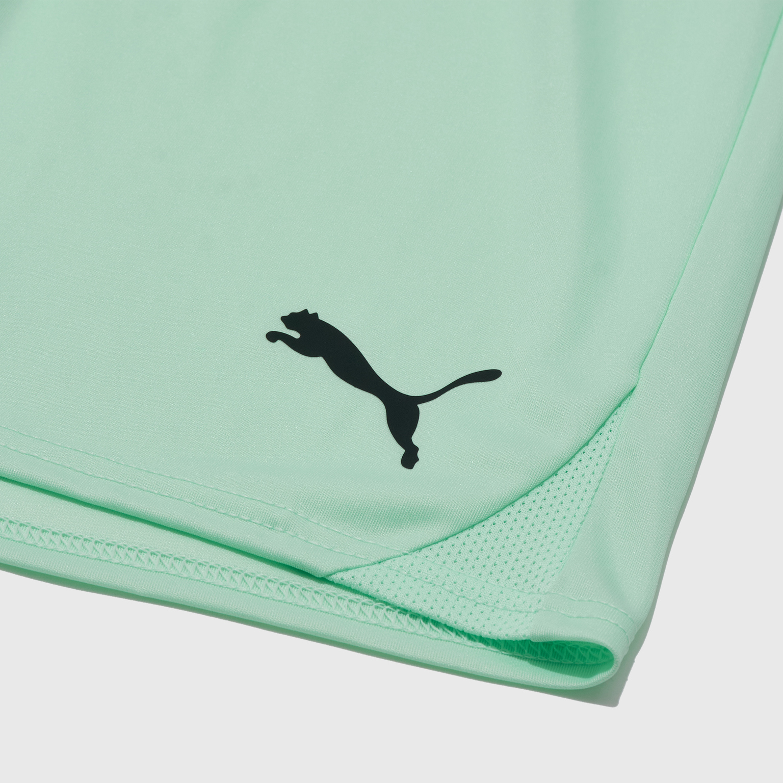 Шорты игровые Puma Teamgoal 70575260