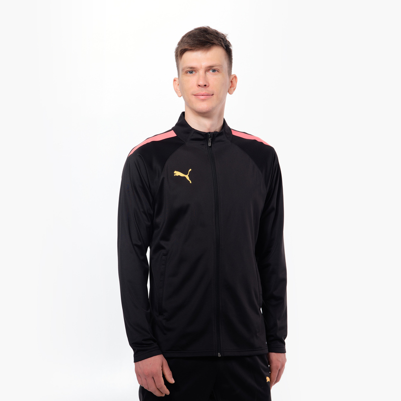 Костюм спортивный Puma Teamliga 65852557