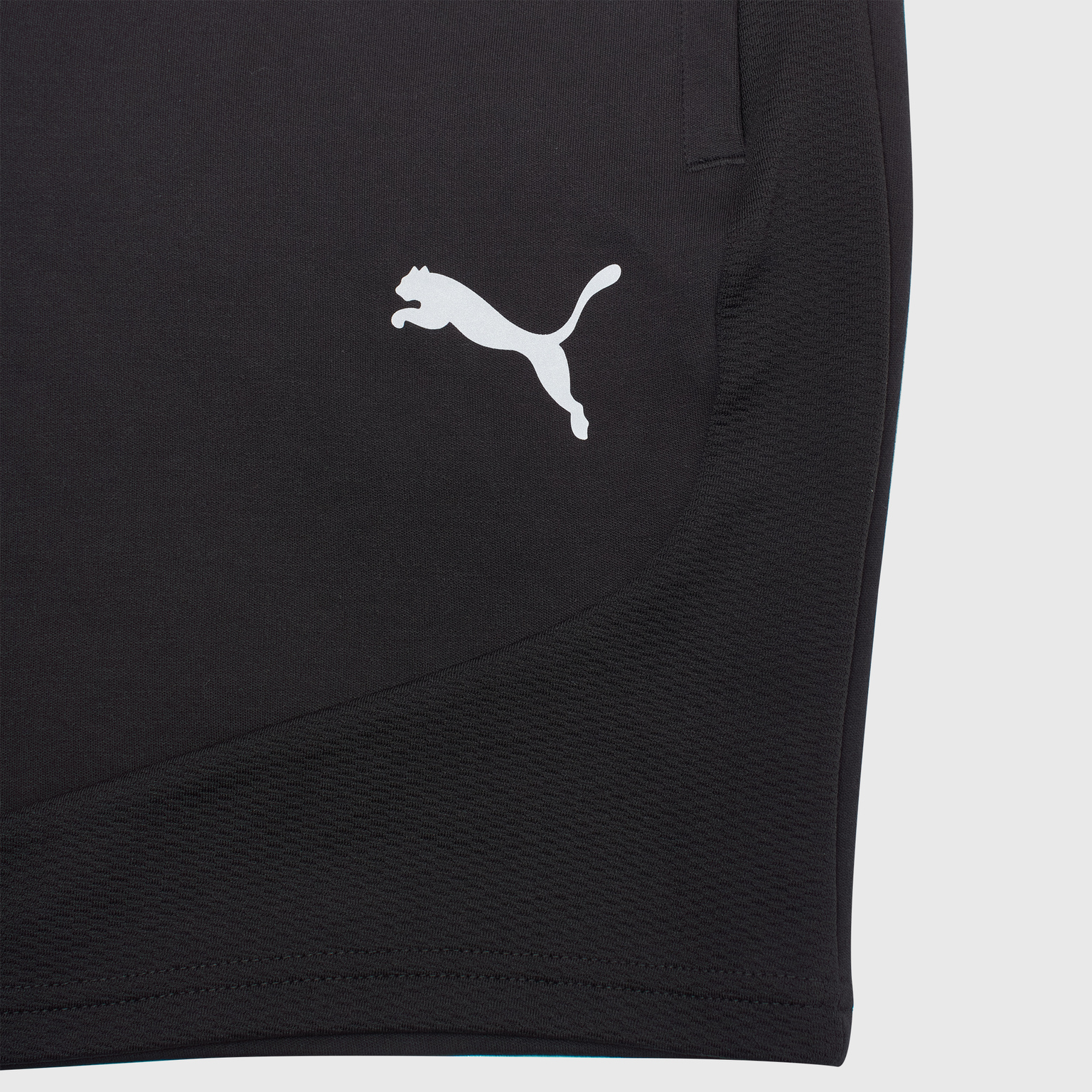 Шорты Puma Evostripe 67899601