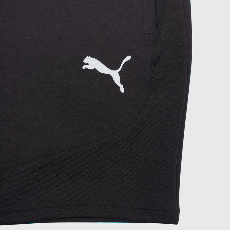 Шорты Puma Evostripe 67899601