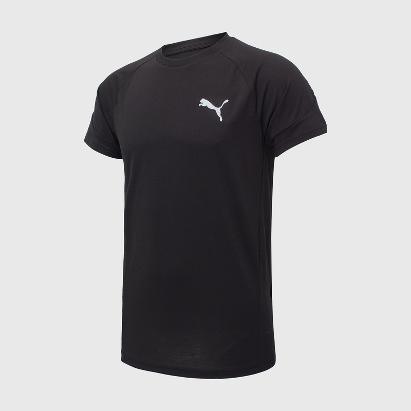Футболка Puma Evostripe Tee 67899201