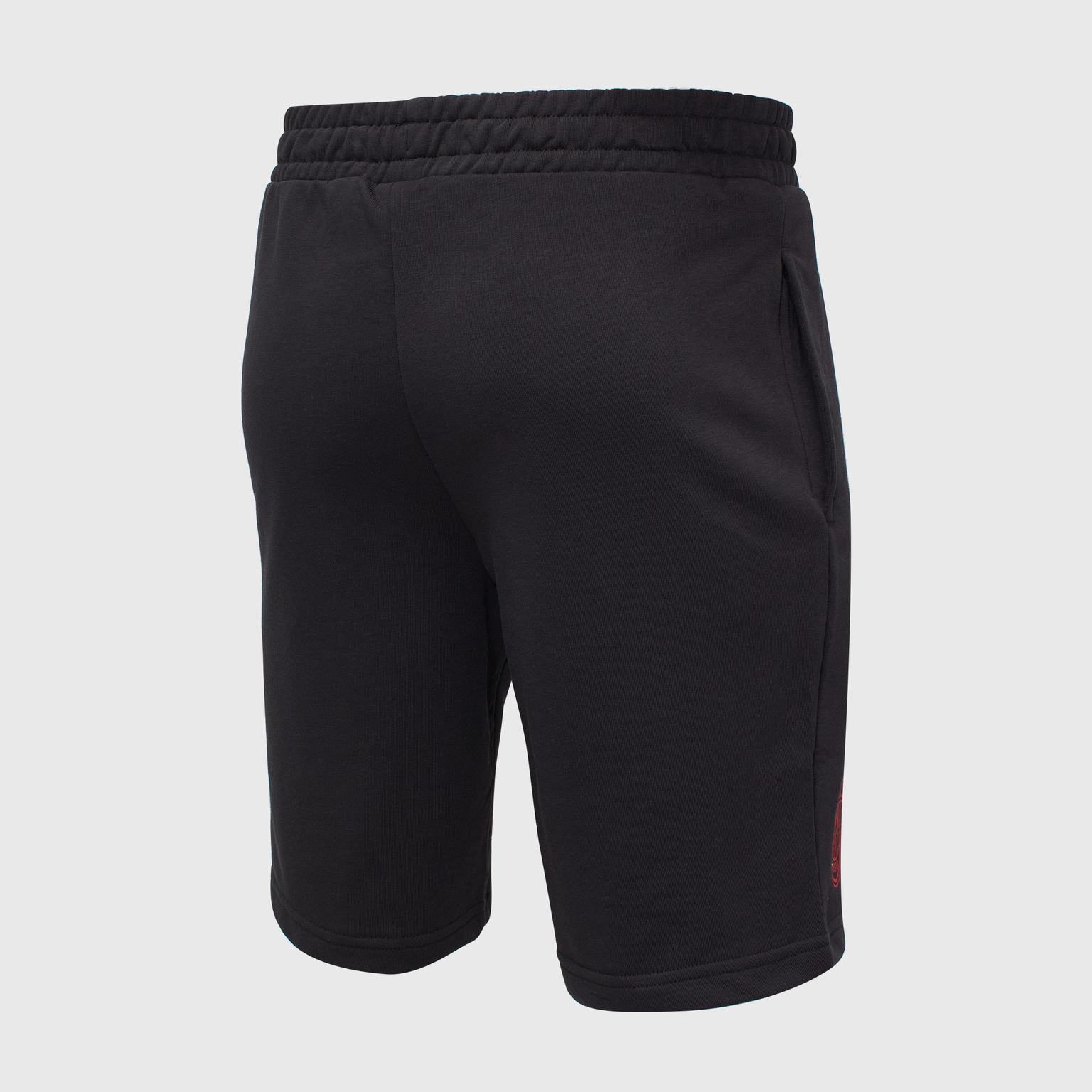 Шорты Puma Milan Ftblicons 77403109