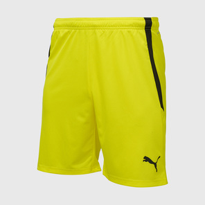 Шорты игровые Puma Teamliga 70492442