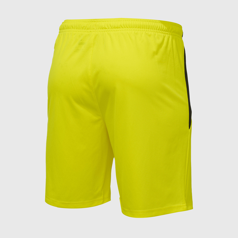 Шорты игровые Puma Teamliga 70492442