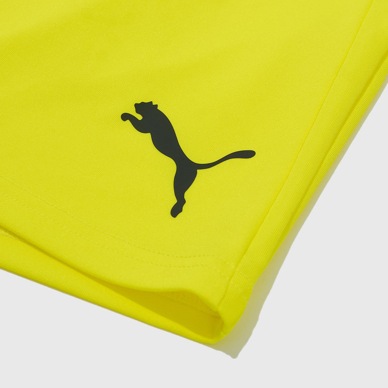 Шорты игровые Puma Teamliga 70492442