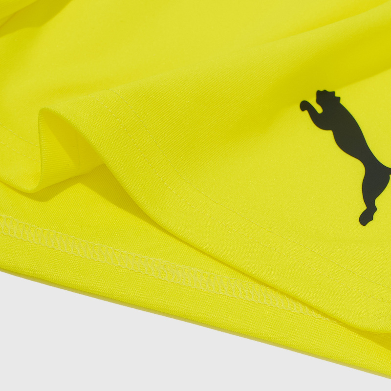 Шорты игровые Puma Teamliga 70492442
