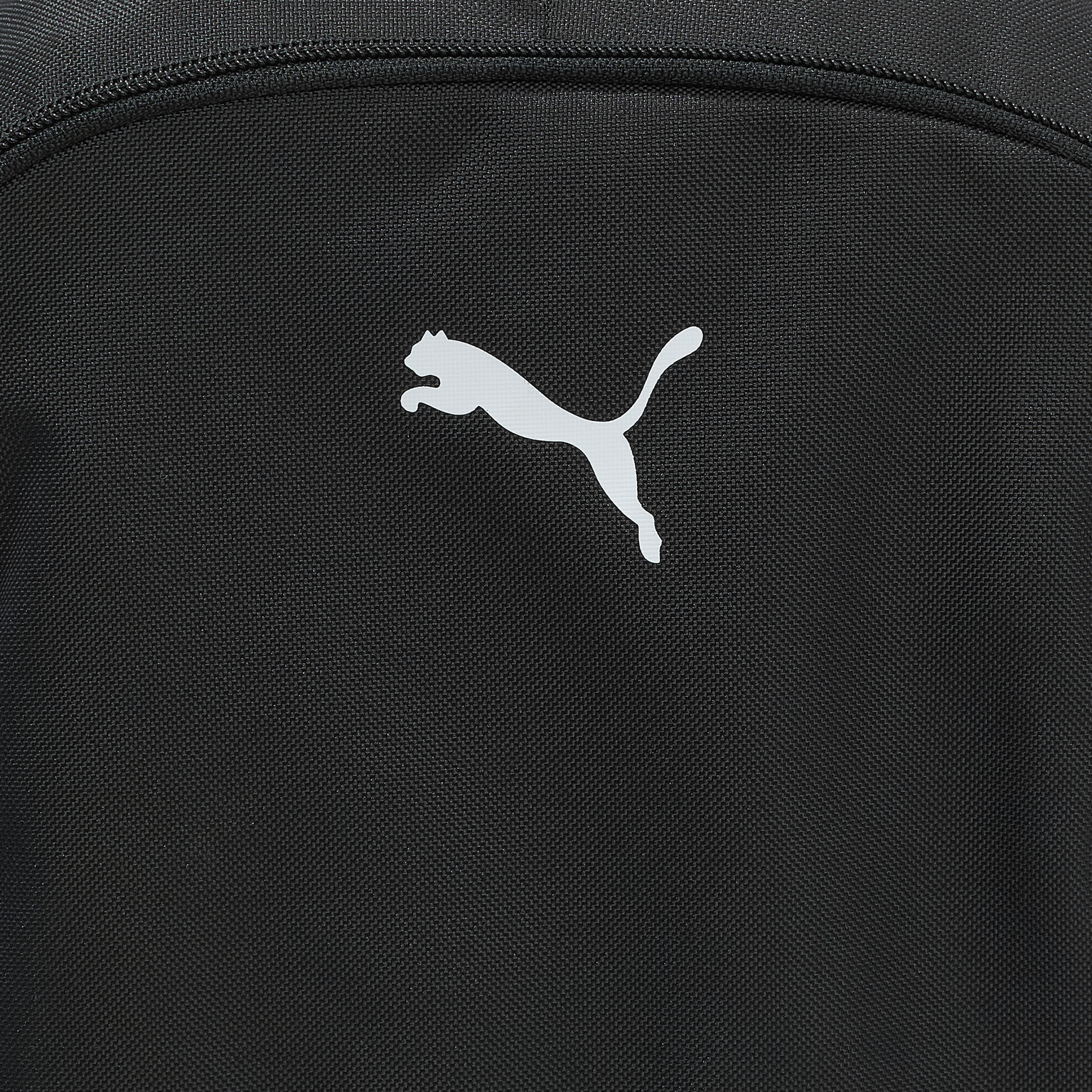 Рюкзак Puma Teamgoal Ball Net 09046701