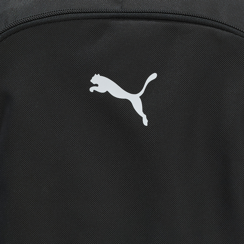 Рюкзак Puma Teamgoal Ball Net 09046701
